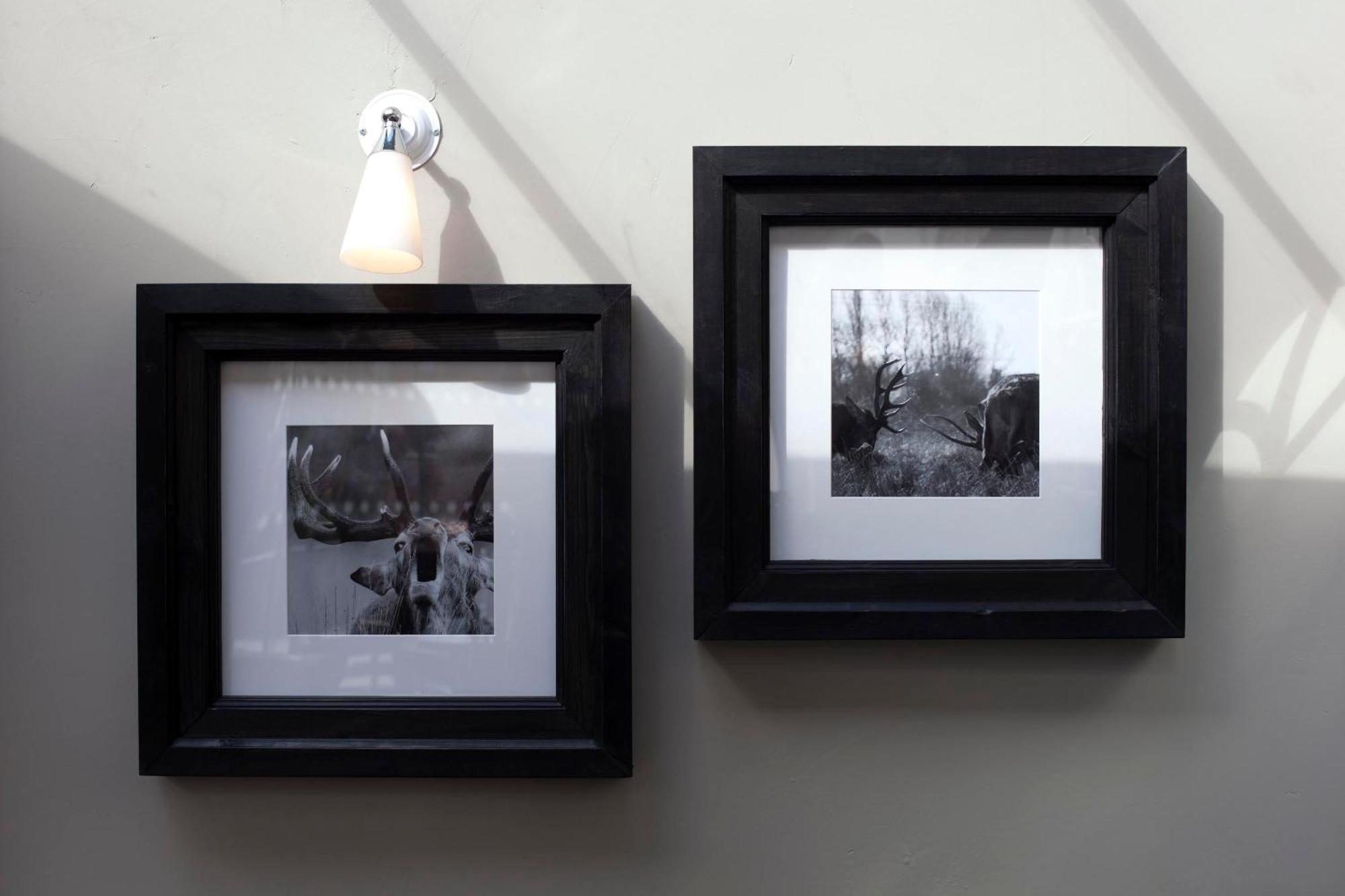 三皇冠酒店 查格福德 外观 照片 Framed photographs